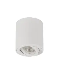 Точковий світильник Kanlux 28784 Bord One GU10 1x10W IP20 білий