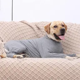 Піжама для собак Wan Talk Comfortable High Elastic Dog Pajamas, XS - мініатюра 3