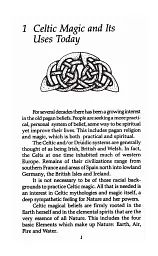 Celtic Magick - Д. Дж. Конвей - мініатюра 8