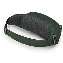 Поясна сумка Osprey Daylite Waist S21 Green (1054-009.3742) - мініатюра 3