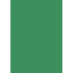 Папір для дизайну Folia Tintedpaper А4 (21x29.7см) №53 трав'яний 130г/м2 без текстури