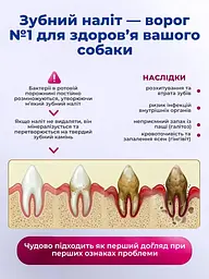 Ласощі натуральні для чищення зубів тварин собак Orozyme для дрібних порід до 10 кг - мініатюра 3