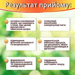 Дієтична добавка Худі-Да для схуднення 300 мг 60 капсул - мініатюра 5