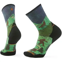 Шкарпетки Smartwool Trail Run Targeted Cushion Neature Print Crew Green L Smart Wool (1033-SW SW002693.G74-L)