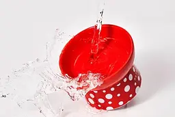 Керамічна миска Petkit Polka Dot Bowl Red - мініатюра 4