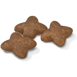 Сухий корм Royal Canin Mini Adult для дорослих собак, з м'ясом птиці, 2 кг - мініатюра 2