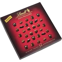 Цукерки шоколадні Lindt Mini Pralines Feinherb 163 г - мініатюра 2