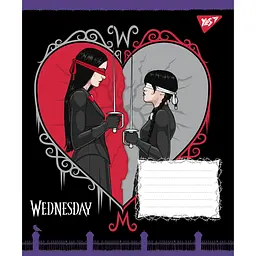 Набір зошитів Yes Wednesday Школа Загадок А5 24 аркуші у лінію 25 шт. (768271) - мініатюра 2