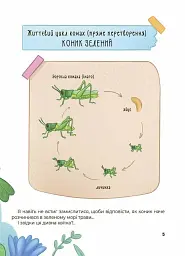 Дивовижні перетворення. Хто ховався у яєчку - Юлія Пеліхова - мініатюра 6
