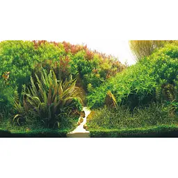 Задній фон Hobby Planted River/Green Rocks 120x50 см (31045) - мініатюра 4