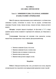 Лісова ентомологія - мініатюра 5