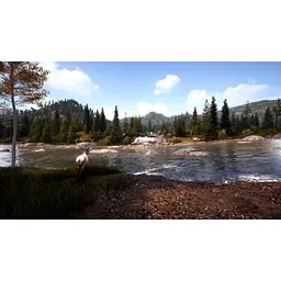 Ключ активації Microsoft Hunting Simulator 2 - Bear Hunter Edition для Xbox One/Series S/X - мініатюра 6