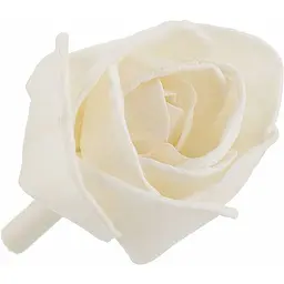 Декоративний освіжувач повітря Brait Beautiful Rose 75 мл - мініатюра 3