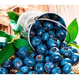 Саджанець Agro-Market Лохина (чорниця садова) Спартан (середній термін дозрівання, високостійкий до хвороб) 1 саджанець (20759) - мініатюра 2