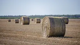 Сільськогосподарська сітка для тюків Bradas BALER NET PLUS 1.25x3600 м (AK-BNP125X3600)  - мініатюра 4