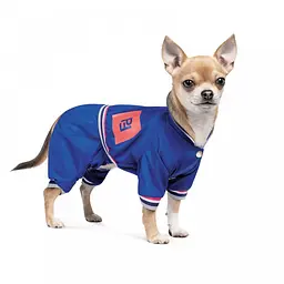 Дощовик Pet Fashion Silver для собак, розмір XS, синій - мініатюра 2
