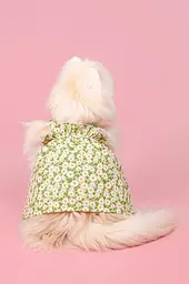 Сукня для собак із ромашками XS