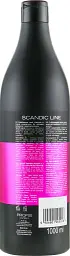 Окислювач для волосся Profis Scandic Line Oxydant Creme 6% 1000 мл - мініатюра 2