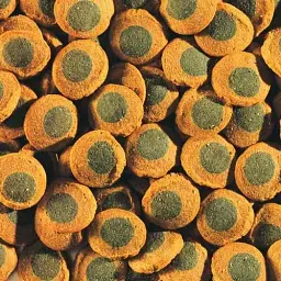 Сухий корм для акваріумних риб Tetra в пластинках Pleco Veggie Wafers 100 мл для травоїдних донних риб - мініатюра 2