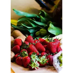 Саджанець Agro-Market Полуниця Джолі (Joly) 5шт (середній термін дозрівання) (25734) - мініатюра 5
