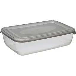 Контейнер Plast Team Polar прямокутний 293х195х75 мм 3 л в асортименті (1673) - мініатюра 3