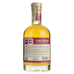 Бренді плодовий Faine Brandy Special Reserve Кальвадос 40% 0.5 л - мініатюра 2