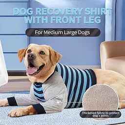 Костюм для відновлення собак Derby Stop Licking Dog Recovery Shirt, Blue, L - мініатюра 3