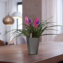 Вазон Lechuza Мini-Deltini Premium, 0.4 л, білий (14950) - мініатюра 7