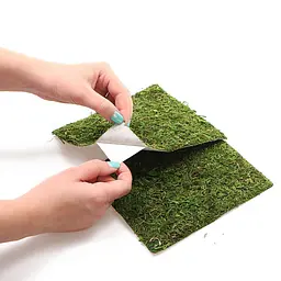 Фон з натурального моху Repti-Zoo Natural Moss Back & Bottom 20x30см 2 шт (NCM3020) для тераріуму - мініатюра 7