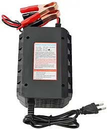 Зарядний пристрій LiitoKala 4S-14.6V20A, Карабіни - мініатюра 4