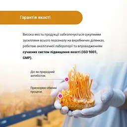 Дієтична добавка Кордицепс Супер 60 капсул - мініатюра 4
