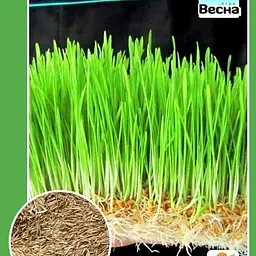 Трава для котів Весна 10 г (12218) - мініатюра 2