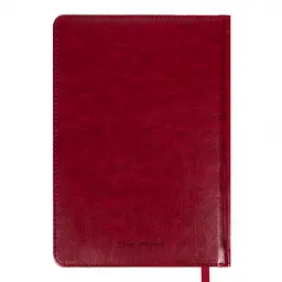 Щоденник діловий Leo Planner 2027 Vector А5 твердий бордовий 368 сторінок (252757) - мініатюра 16