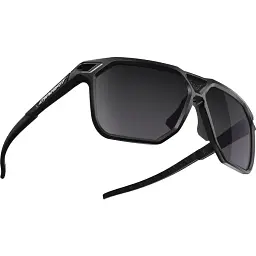 Окуляри Dynafit Traverse Sunglasses