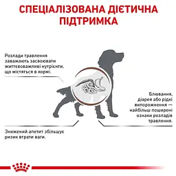 Сухий корм для собак Royal Canin Gastro Intestinal 2 кг 39110201 - мініатюра 3