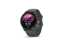 Смарт-годинник Garmin Forerunner 255 Slate Gray (010-02641-00/10)