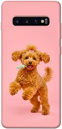 TPU чохол Demsky Happy poodle для Samsung Galaxy S10+