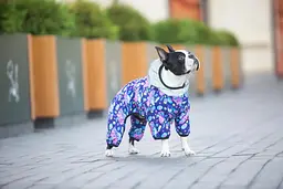 Комбінезон для собак Waudog Clothes, Рік та Морті 1, L55 - мініатюра 3