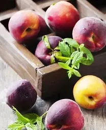Саджанець Agro-Market Персик Красна девиця (літній сорт, середньо-пізній термін дозрівання) (17587) 1 шт. в упаковці - мініатюра 2