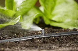 Мікронасадка Gardena Micro-Drip-System стрічкова, 5 шт (01372-29) - мініатюра 2