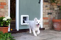 Дверцята для кішок та дрібних собак Sure Petcare SureFlap з мікрочіпом та таймером комендантської години, сумісна з RFID-мітками - мініатюра 3
