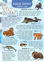 Енциклопедія з наліпками. Тварини світу - мініатюра 6