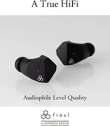 Навушники Final Audio TWS ZE3000 SV Black (90403800) - мініатюра 2