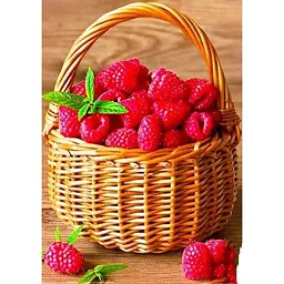 Саджанець Agro-Market Малинове дерево Королівська влада (преміальний сорт) 1 шт. в упаковці (44444) - мініатюра 3