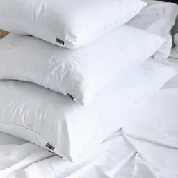 Подушка Viluta Softness лебединий пух 50х70 - мініатюра 2