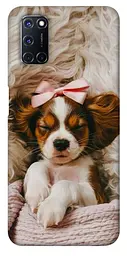TPU чохол Demsky Sleepy spaniel для Oppo A52 / A72 / A92