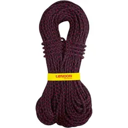 Динамічна мотузка Tendon Master Pro 8,9 CS 80 м (1033-TND D089TP41C080C)