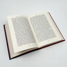 Американська мрія Петро Сандуляк Наш Формат, книга українською, нова, тверда - мініатюра 3