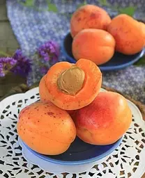 Саджанець Agro-Market Абрикос Джумбо Тардив (літній сорт, середній термін дозрівання) (39866) 1 шт. в упаковці - мініатюра 2