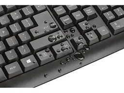 Клавіатура Trust Classicline Keyboard RU USB (20626) - мініатюра 6